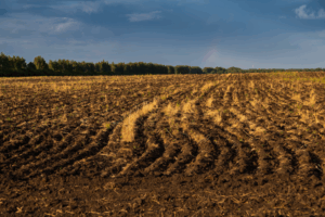 Acker-Natur-Wasserschutz-Beweissicherung