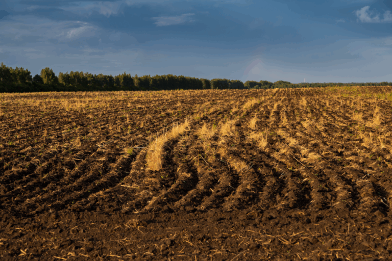 Acker-Natur-Wasserschutz-Beweissicherung