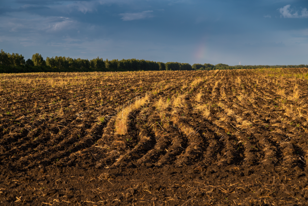 Acker-Natur-Wasserschutz-Beweissicherung